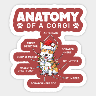 Corgi Anatomy Sticker